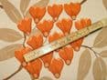 Exc Ashley Wilde MLISS Saffron FLORAL Curtain/Upholstery/Soft Furnishing Fabric